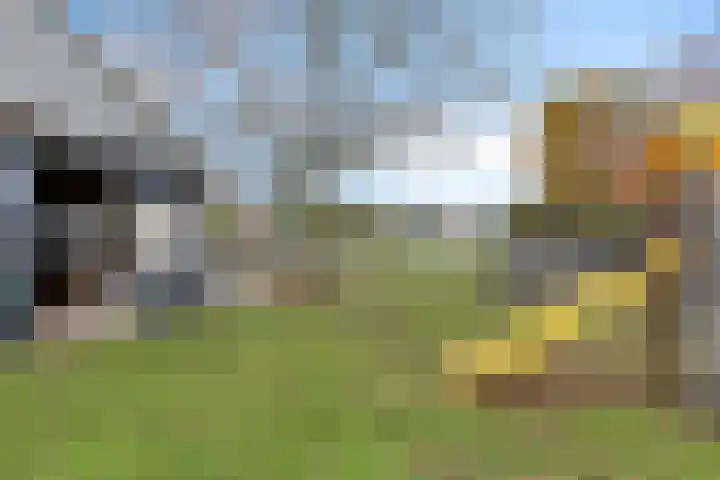 Venloseweg 34 Horst thumbnail 24