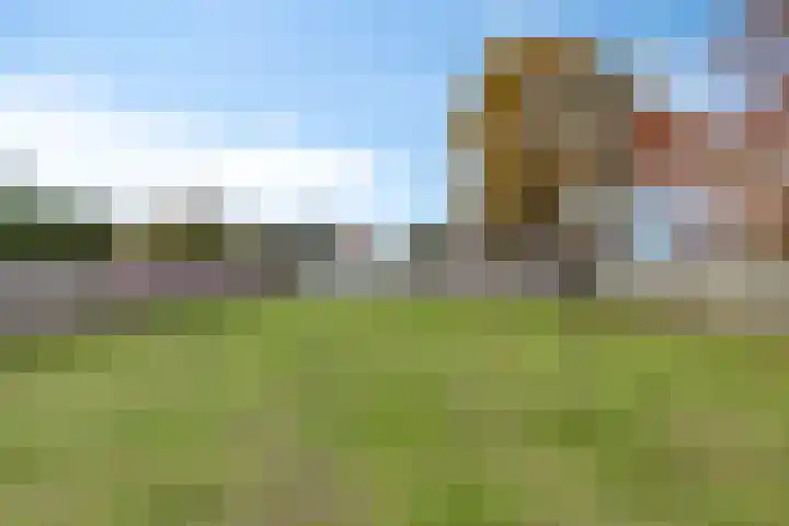 Venloseweg 34 Horst thumbnail 28