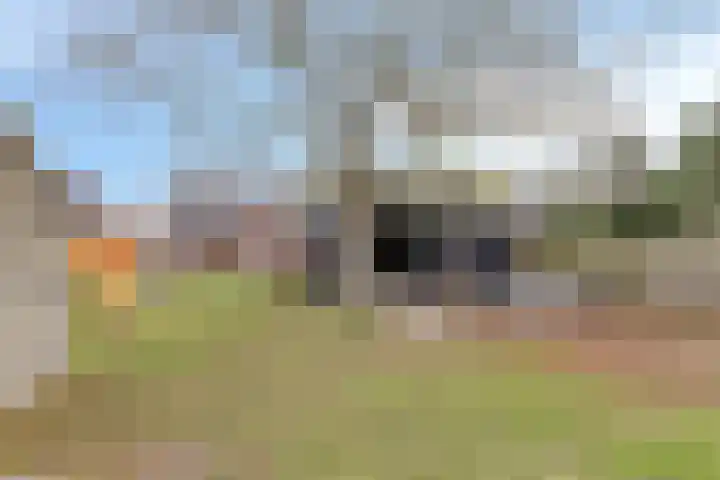 Venloseweg 34 Horst thumbnail 31