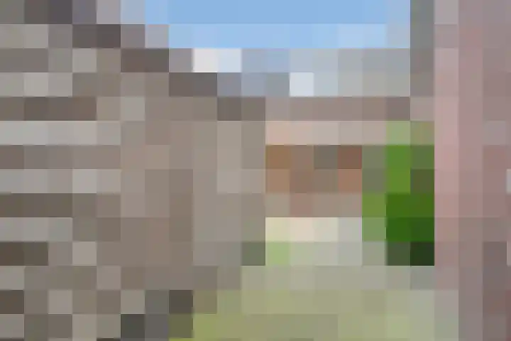 Venloseweg 36 Horst thumbnail 34