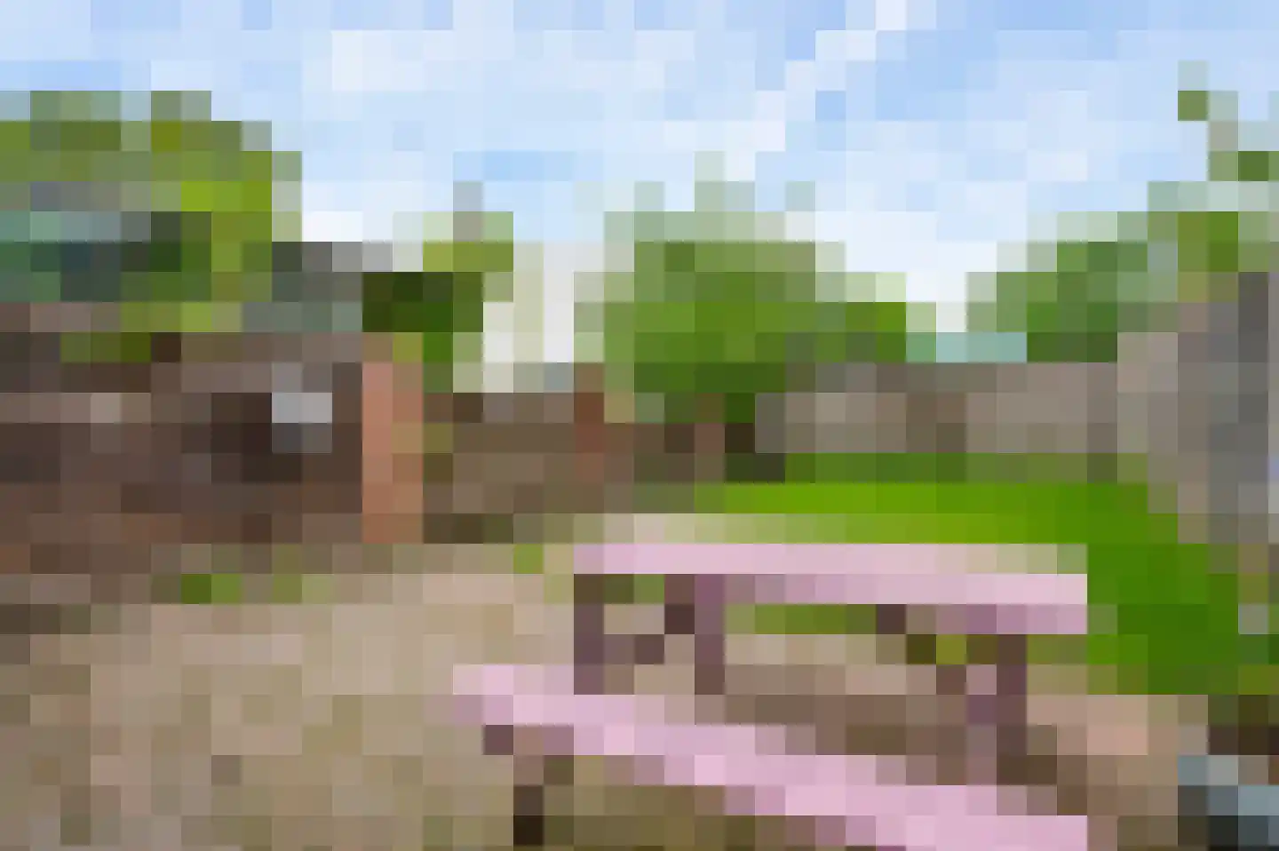 Venloseweg 36 Roermond thumbnail 18