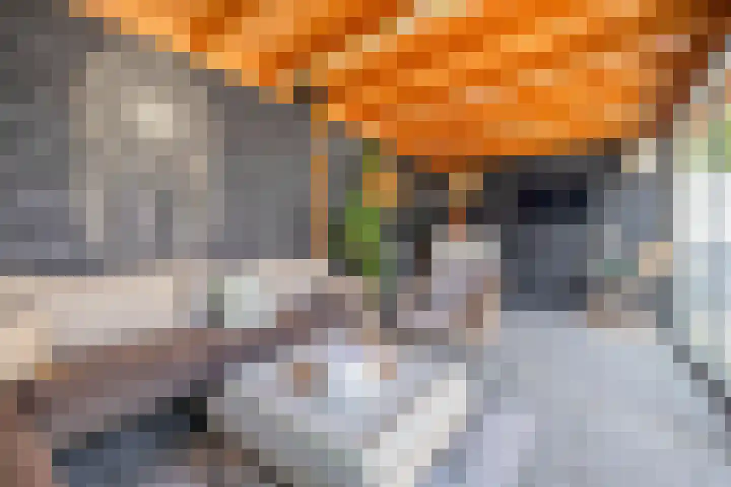 Venloseweg 37 Grubbenvorst thumbnail 28