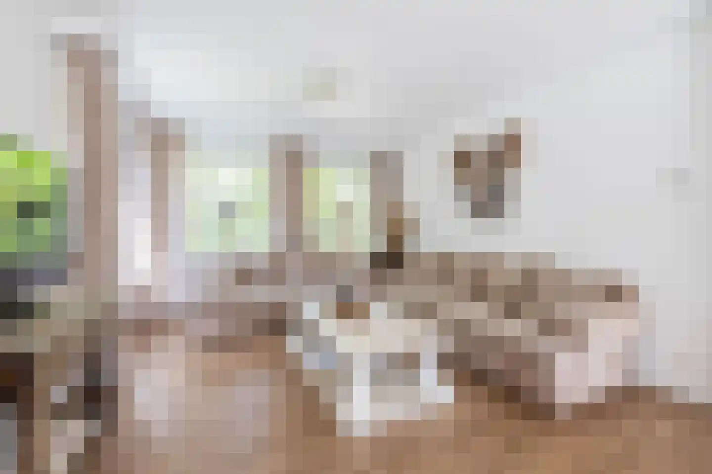 Venloseweg 37 Grubbenvorst thumbnail 7