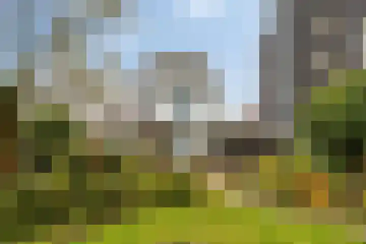 Venloseweg 5 Roermond thumbnail 39