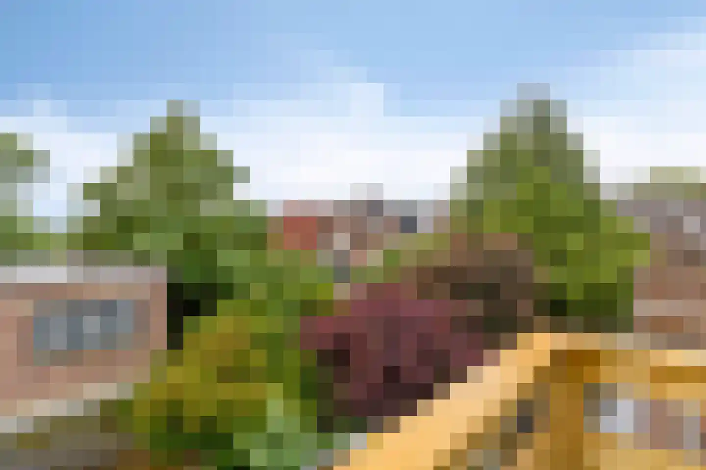 Venloseweg 6 A Roermond thumbnail 33