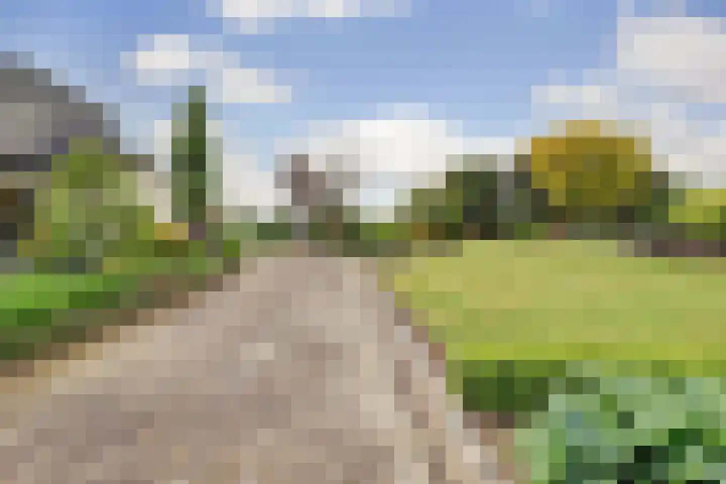 Venloseweg 63 Horst thumbnail 100