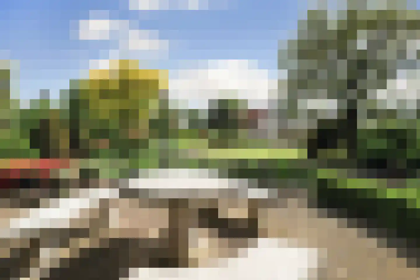 Venloseweg 63 Horst thumbnail 4