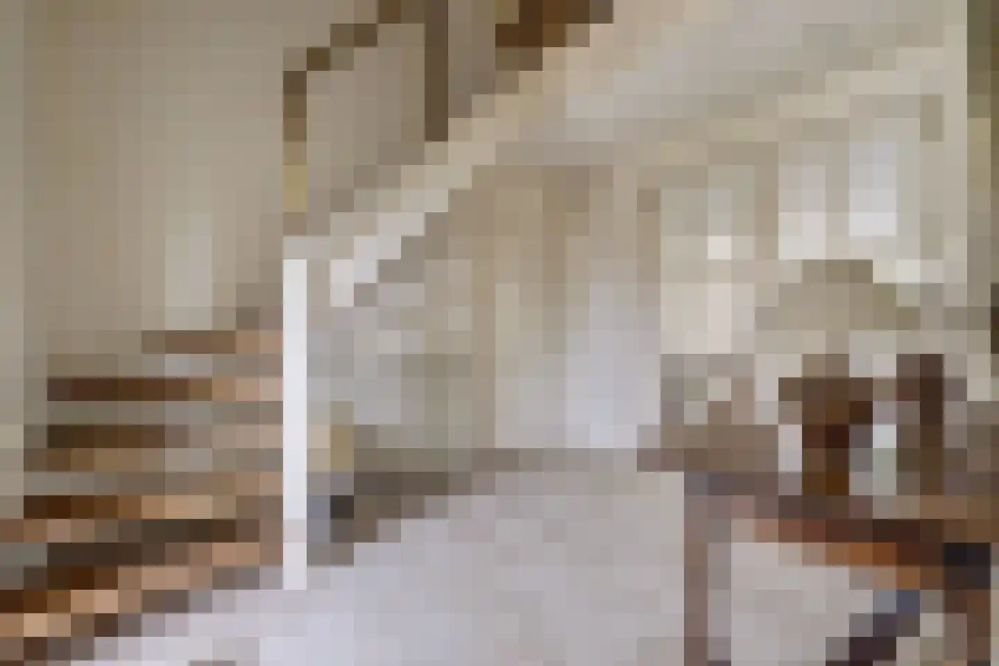 Venloseweg 63 Horst thumbnail 7