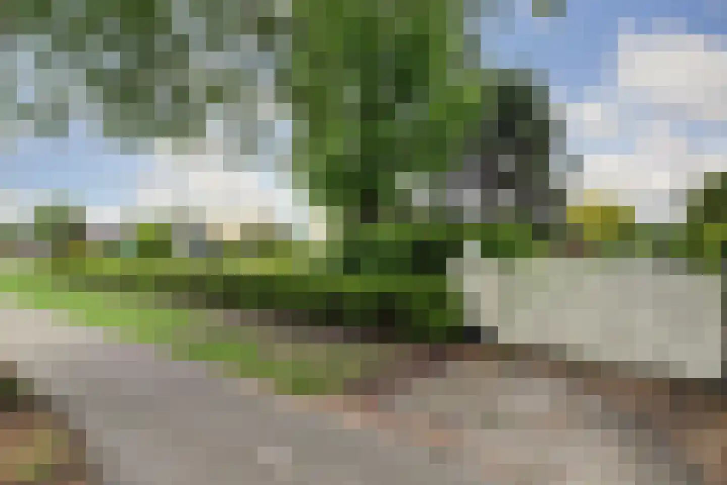 Venloseweg 63 Horst thumbnail 97
