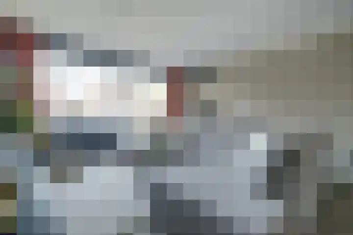 Venlosingel 100 Arnhem thumbnail 17