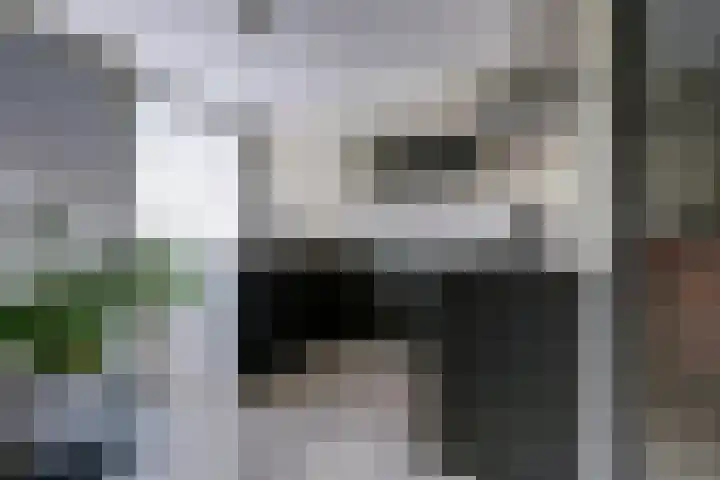 Venlosingel 100 Arnhem thumbnail 4