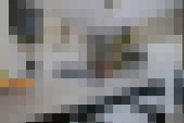 Venlosingel 100 Arnhem thumbnail 9