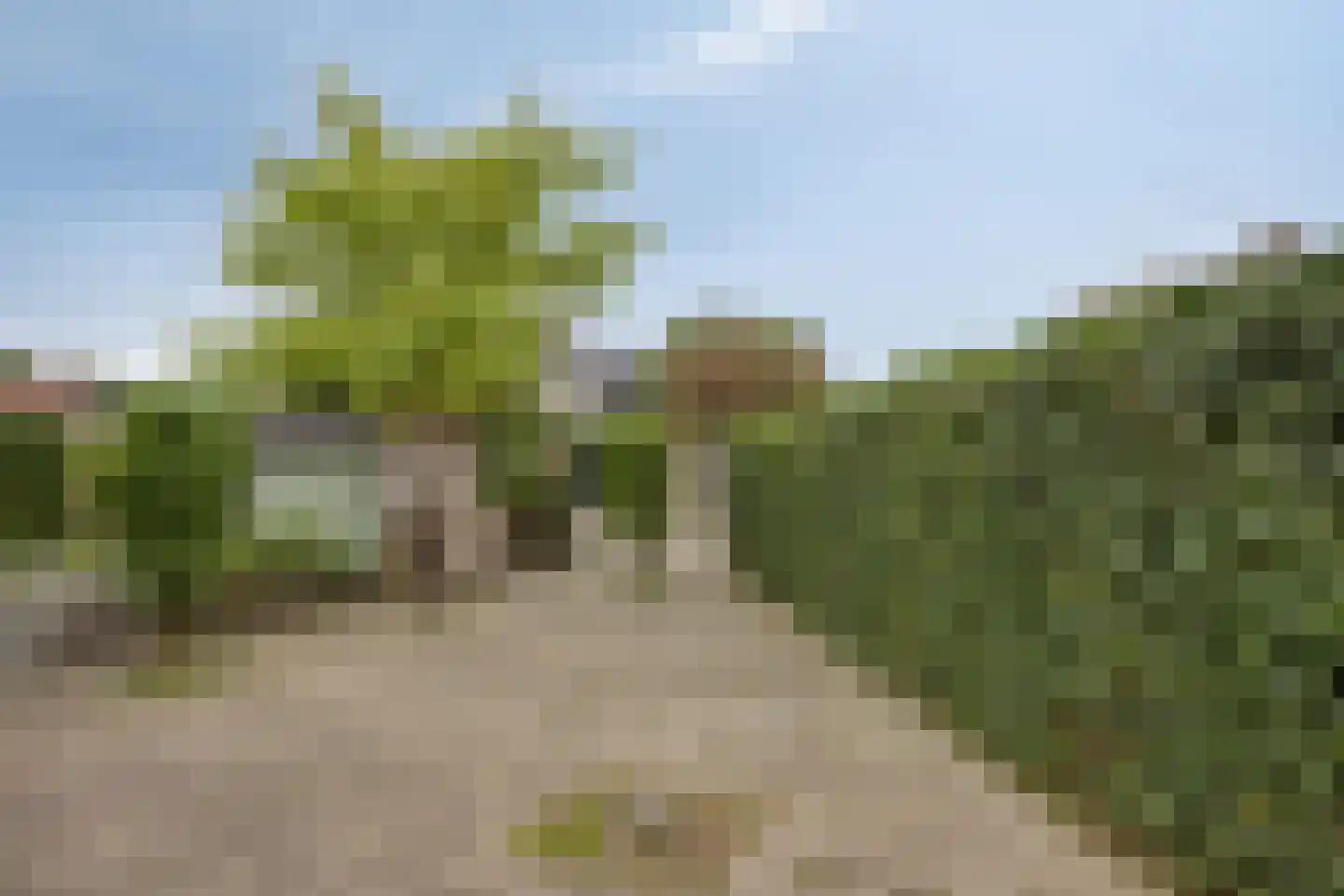 Venlosingel 46 Arnhem thumbnail 23