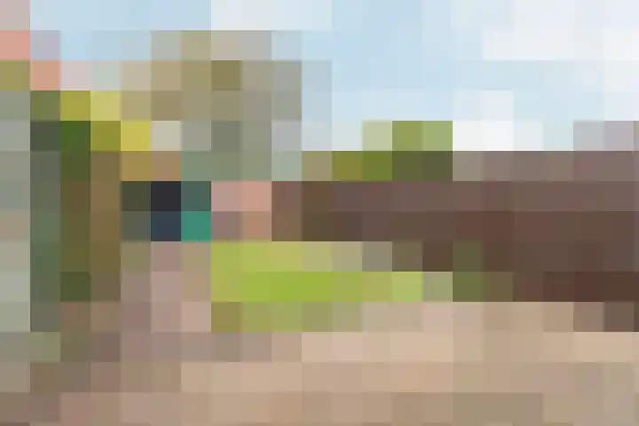 Venlosingel 72 Arnhem thumbnail 32