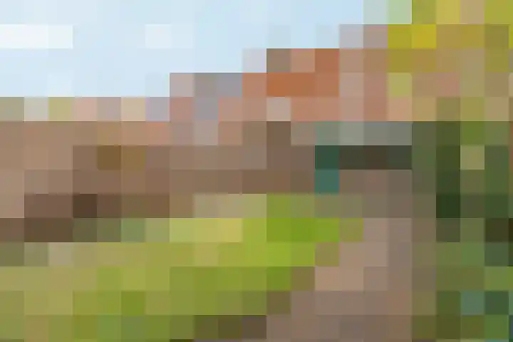 Venlosingel 72 Arnhem thumbnail 33