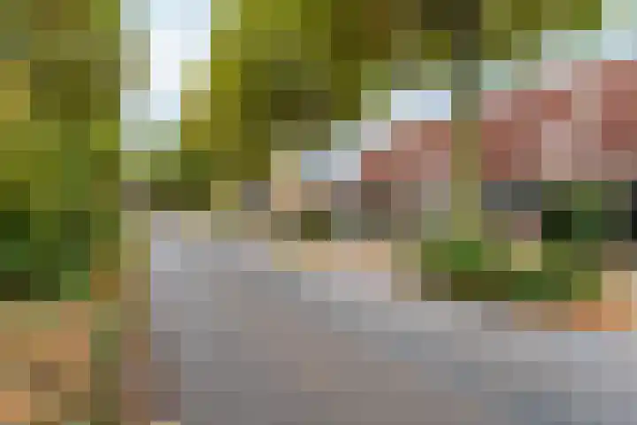 Venlosingel 72 Arnhem thumbnail 35