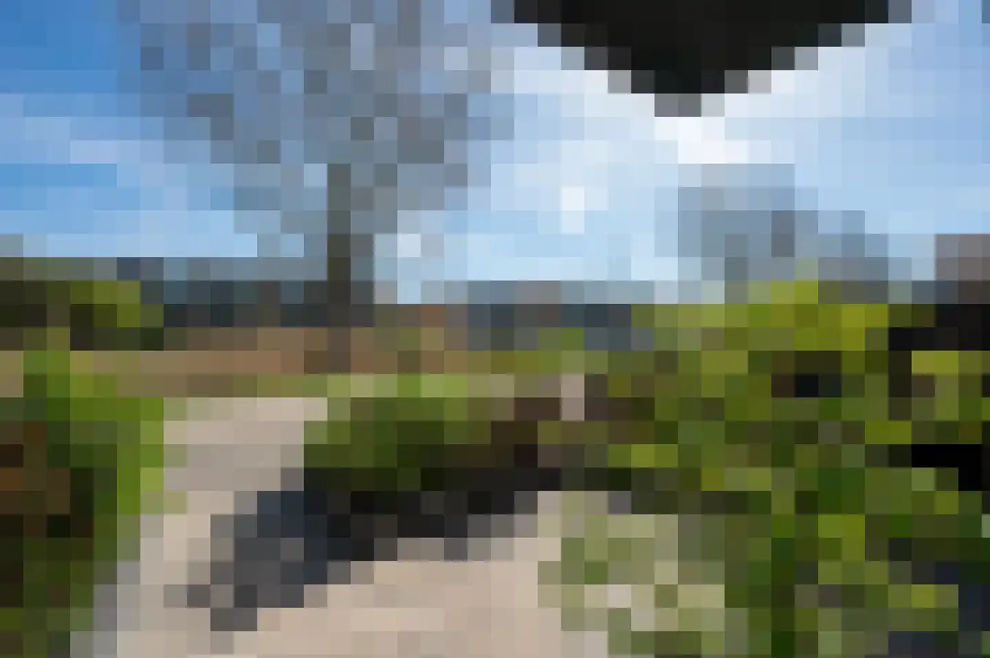 Venloweg 60 Almere thumbnail 4