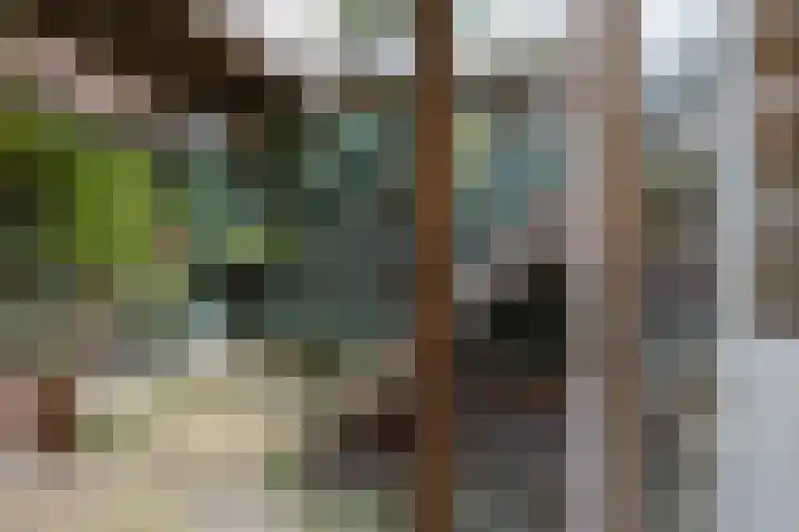Venne 119 Winschoten thumbnail 13