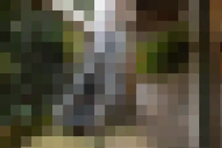Venne 119 Winschoten thumbnail 15