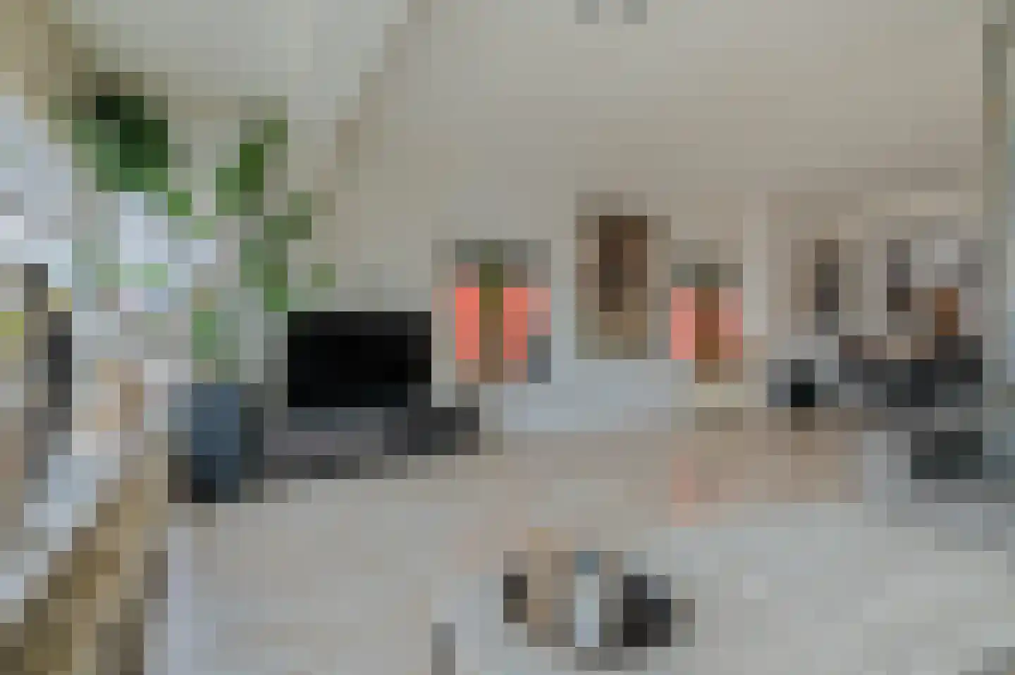 Venne 126 Winschoten thumbnail 11