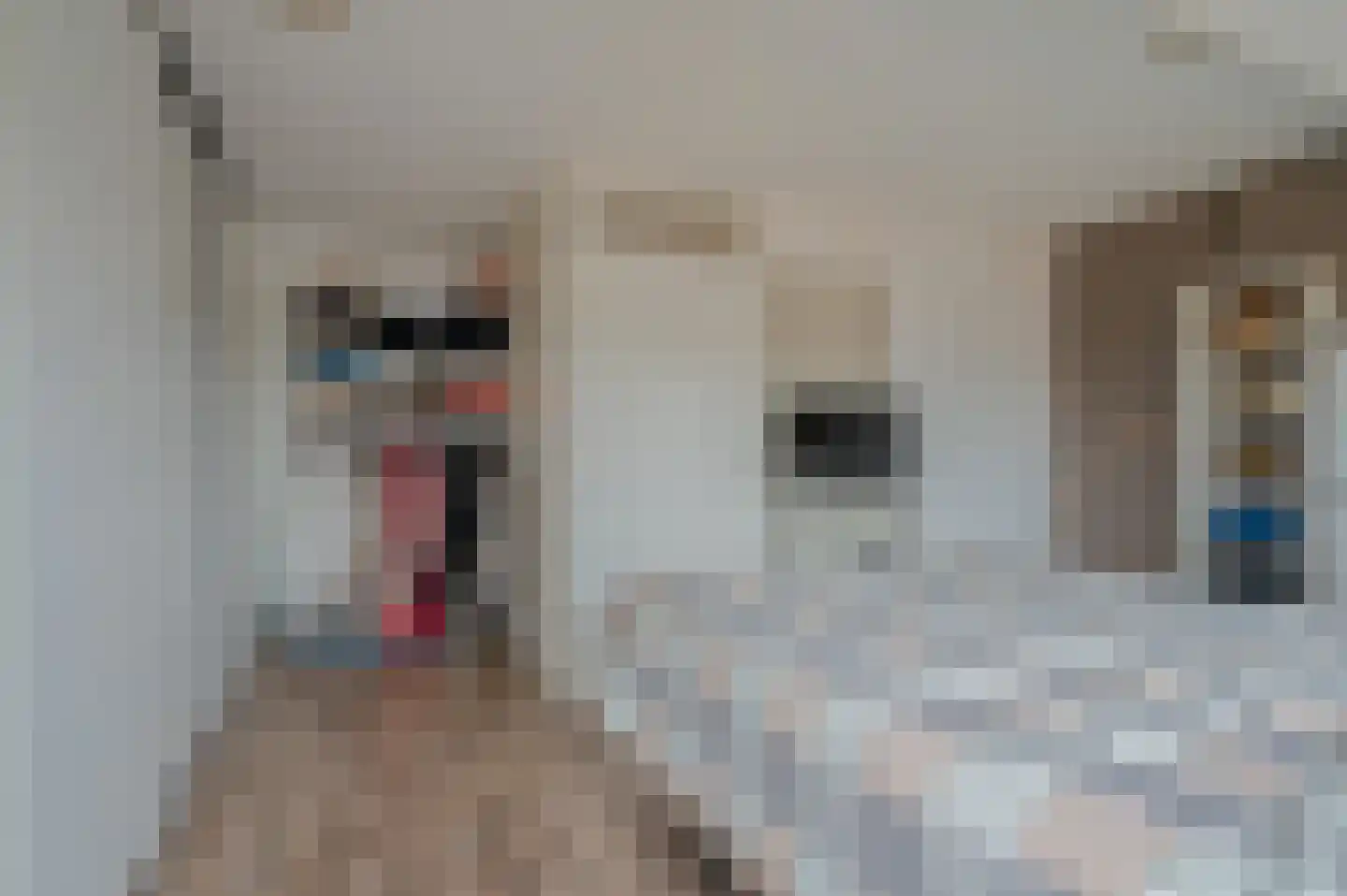 Venne 126 Winschoten thumbnail 32