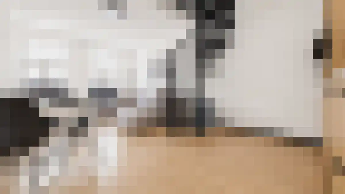 Venne 127 Winschoten thumbnail 4