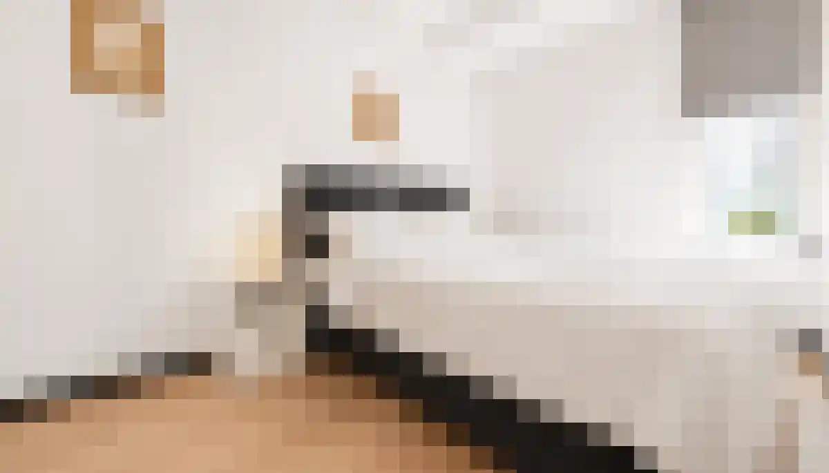 Venne 127 Winschoten thumbnail 5