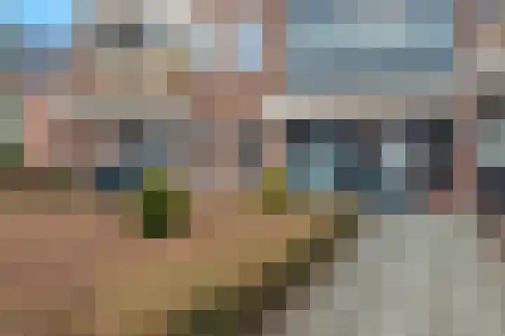 Venne 160 Winschoten thumbnail 6