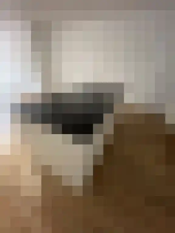 Venne 80 Winschoten thumbnail 4