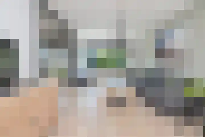 Vennecoolstraat 55 Rotterdam thumbnail 18
