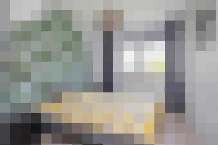 Vennecoolstraat 55 Rotterdam thumbnail 38