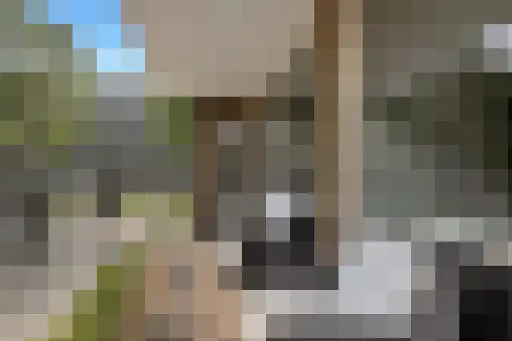 Vennecoolstraat 55 Rotterdam thumbnail 45