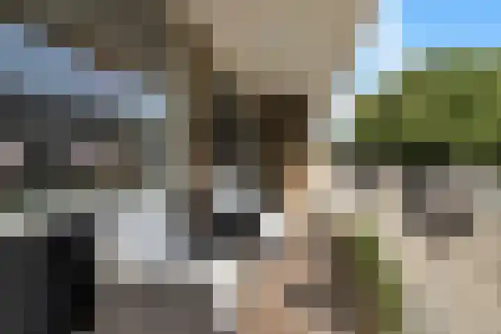 Vennecoolstraat 55 Rotterdam thumbnail 5