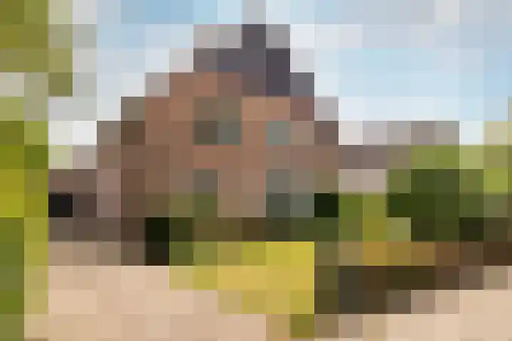 Vennekes 17 in Bavel