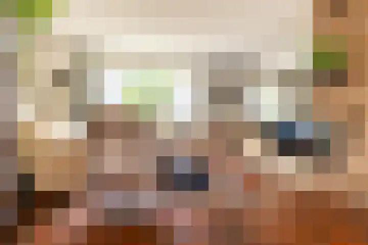 Vennekes 17 Bavel thumbnail 11