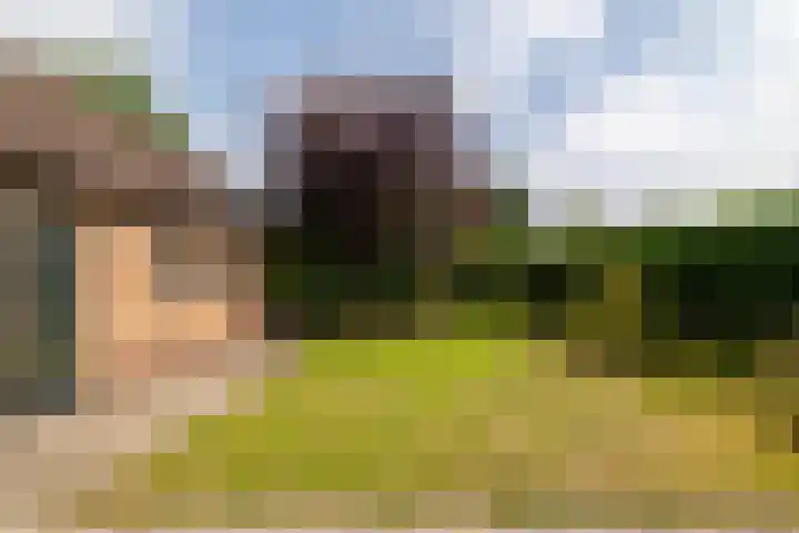 Vennekes 17 Bavel thumbnail 17