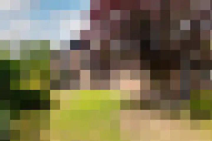 Vennekes 17 Bavel thumbnail 22