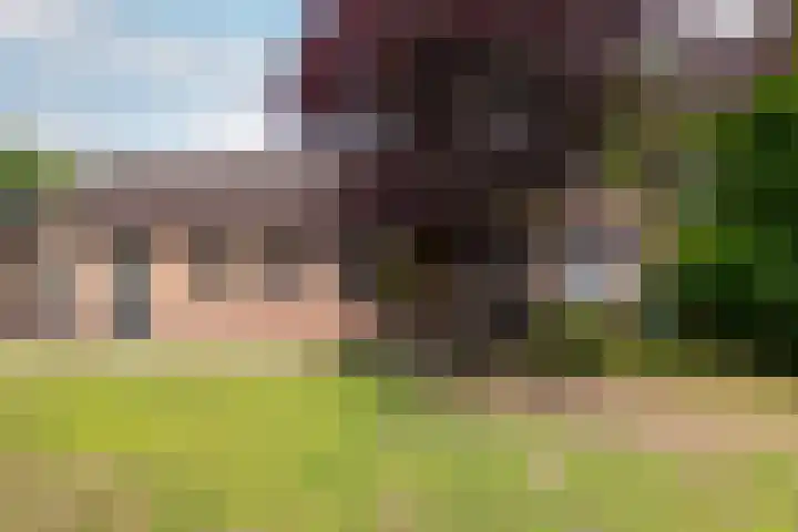 Vennekes 17 Bavel thumbnail 23