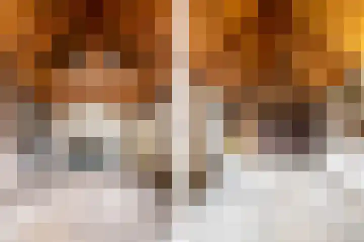 Vennekes 17 Bavel thumbnail 25