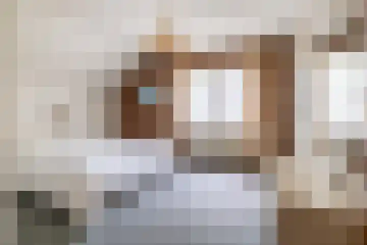 Vennekes 17 Bavel thumbnail 37