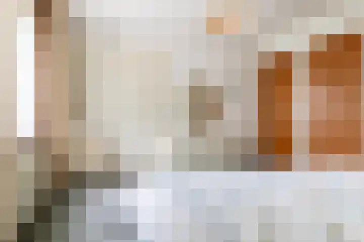 Vennekes 17 Bavel thumbnail 38