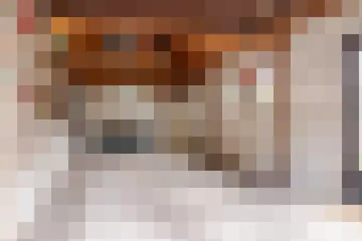 Vennekes 17 Bavel thumbnail 4