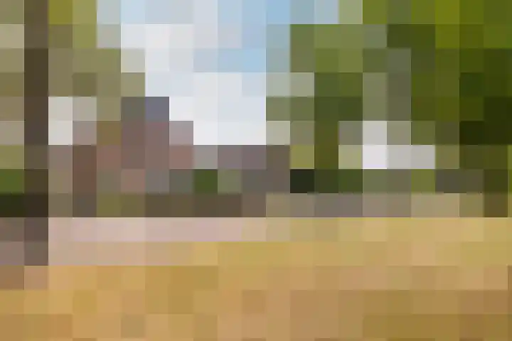 Vennekes 17 Bavel thumbnail 45