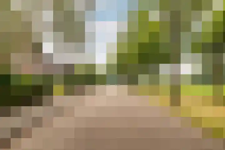 Vennekes 17 Bavel thumbnail 46