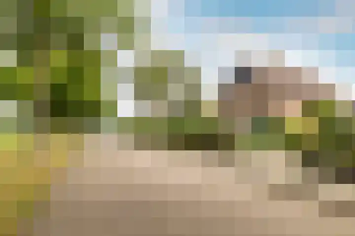 Vennekes 17 Bavel thumbnail 47
