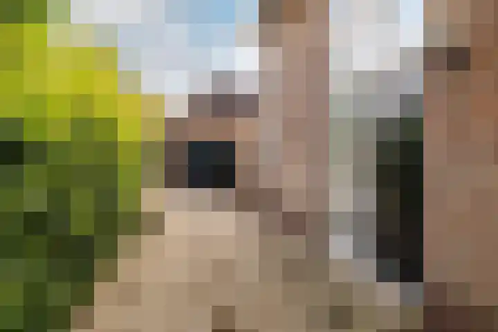 Vennekes 17 Bavel thumbnail 8