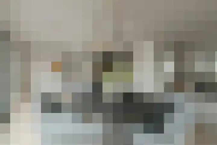 Vennekes 26 Bavel thumbnail 28