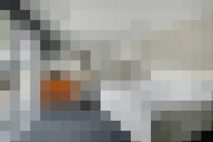 Vennekes 26 Bavel thumbnail 32