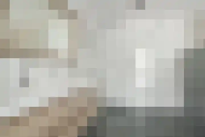Vennekes 26 Bavel thumbnail 34