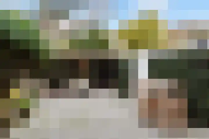 Vennekes 26 Bavel thumbnail 36